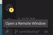 VSCode Remote Button